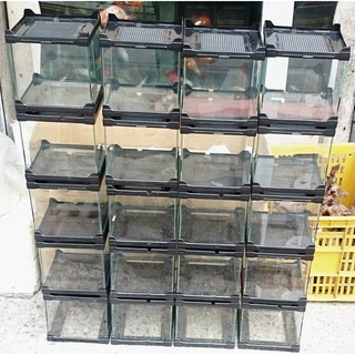 角蛙缸 堆疊缸 多功能水族爬蟲寵物缸 寵物箱 爬蟲箱 魚缸 鬥魚缸 小型缸 迷你缸