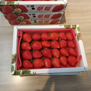 [售罄]~大湖草莓 香水草莓 新鮮草莓 草莓禮盒 草莓紅了 現採草莓 過年伴手禮 strawberry