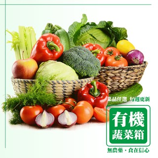 100%天然新鮮有機 蔬菜箱 蔬菜 葉菜類 北農 營養午餐供應商 無毒 無藥 無化肥