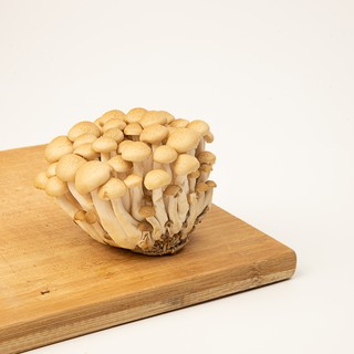 蝦皮生鮮 好菇道 鴻喜菇100g±10%/盒 菜霸子嚴選 假日正常送