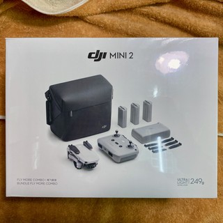 聯強先創公司貨 DJI MINI2 (Mavic Mini2) 暢飛套裝空拍機 贈SanDisk 32GB V30高速卡