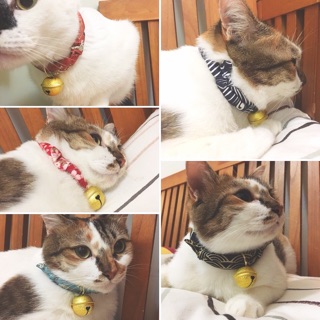 🇯🇵臺灣現貨🇹🇼 和風貓項圈 貓鈴鐺 ⛩日本家紋 棉麻材質 可調整式 寵物項圈 質感