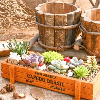 〔熱銷口碑〕CARMO長方形木製多肉花盆木盒/收納盒【E01002】