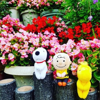 日本Chokkorisan 迪士尼拍照玩偶 史努比 糊塗塌客 黃鳥 米奇 米妮 唐老鴨 黛西 小豬 維尼 奇奇蒂蒂