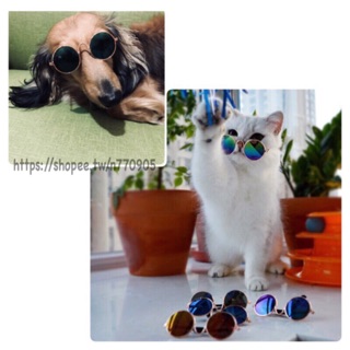 21色全現貨🌟限時優惠🌟寵物小眼鏡 狗狗墨鏡 貓咪墨鏡 金屬框圓形寵物墨鏡拍照專用潮流眼鏡