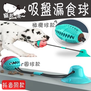 [台灣現貨] 寵物玩具 漏食球 露食球 寵物益智玩具 狗狗玩具 耐咬玩具 寵物吸盤 潔牙 智能玩具