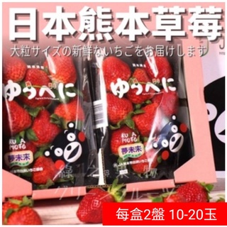 (冷藏宅配) 熊本草莓 日本草莓 草莓 草莓禮盒 空運來台 新鮮草莓 日本熊本草莓 日本直送 嚴選 水果禮盒