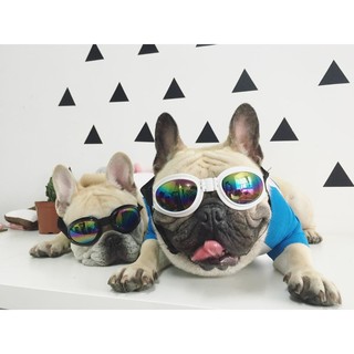 【現貨】寵物眼镜可折叠，多款色系可选，狗狗犬太陽镜，墨镜防風防曬防護镜