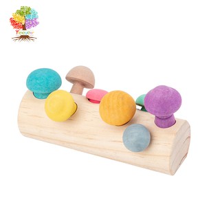 【樹年】木製趣味採蘑菇遊戲 鍛煉寶寶抓握能力 顏色認知 兒童益智木質玩具