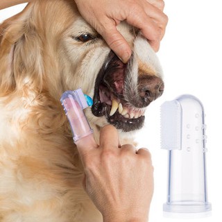⭐豆豆⭐寵物牙刷橡膠指套 狗貓透明軟牙刷 狗牙刷 貓牙刷 狗牙膏 寵物牙膏 狗指套牙刷 狗刷牙