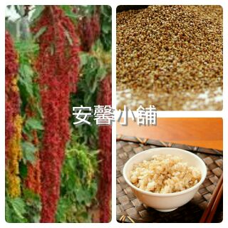 《穀物之王》台灣紅藜麥/紅藜粉 /紅藜茶包