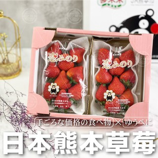 【綠之果物 快速出貨】熊本草莓 特大10-22粒 日本空運直送 禮盒包裝