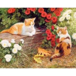 蒂爾傢居生活館~DIY油畫~數字油畫~無框畫 ~藝術畫40X50~ 兩只貓咪