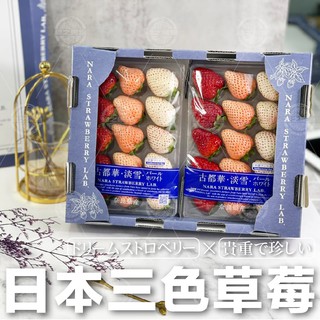 【綠之果物 現貨】三色草莓 18-40粒 草莓禮盒 日本草莓 禮盒包裝