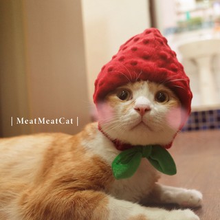 | MeatMeatCat | ▪️ |手作| _水果造型 貓寵物帽 草莓帽 寵物配件 寵物帽 寵物頭飾 水果帽