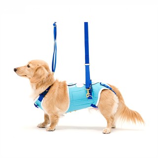 LaLaWalk 中小型步行輔助帶-單藍色/老犬/輔助用品/寵物介護/