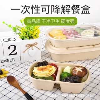 高檔紙漿餐盒甘蔗渣可降解壽司飯盒輕食沙拉航班外賣打包盒