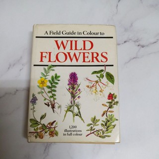 良好書 Wild Flowers圖鑑 花朵圖鑑 植物學 植物圖鑑 老書 舊書