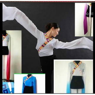 水袖上衣女成人舞蹈練功服甩袖古典舞驚鴻戲曲藏族兒童練習表演服。90977