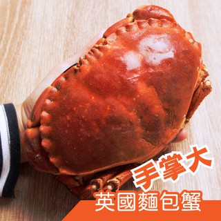 熟凍麵包蟹/霸王蟹/(800+)(400-600g)/解凍即食/簡單加熱亦可
