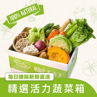 蝦皮生鮮 蔬菜箱 ．蔬菜超值組合箱-組合隨機 菜霸子嚴選 假日正常送