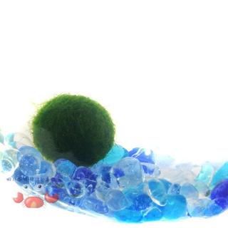 蝦兵蟹將【水草造景】日本阿寒湖綠藻球【迷你幸福小藻球/單顆】迷你藻球 前景草 陰性水草 初學者 入門級 營養套組