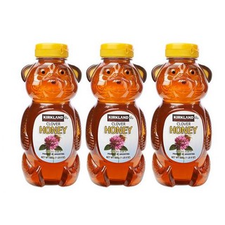 【小新代購】Costco好市多 科克蘭-小熊造型蜂蜜/原裝進口100%純蜂蜜(680g/瓶)