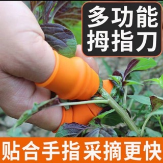 多功能 拇指刀「買ㄧ送二」採菜刀 辣椒 番茄 黃瓜 絲瓜 園藝工具
