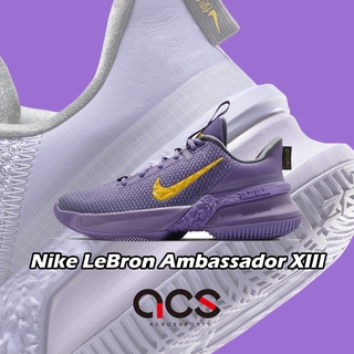 Nike 籃球鞋 LeBron Ambassador 13 紫 湖人 男鞋 LBJ 大使【ACS】 CQ9329-500