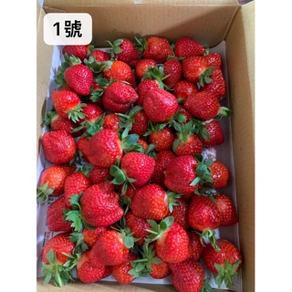 降價🍓【苗栗大湖】🍓每日現採（低溫宅配）香水草莓 直送員林發貨一箱2.5台斤，買送禮盒
