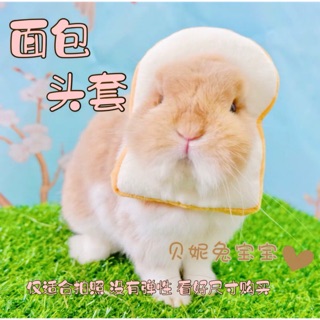 【貝妮兔寶寶】網紅必備吐司麵包頭套 兔子頭套 兔飾品 寵物頭套 直接套 沒有彈性 適合拍照