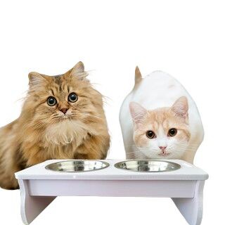 【小花】寵物斜面碗架/ 斜面貓碗架/狗碗架/塑木碗架/貓碗架 /寵物餐桌 /狗餐桌/貓碗架