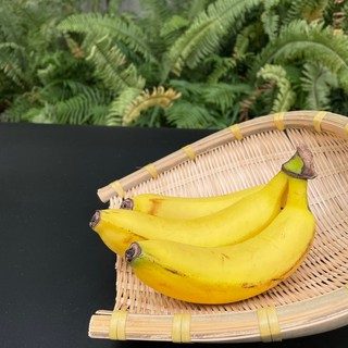 蝦皮生鮮 嚴選香蕉 400g (±10%)(約2-5根) 廠商直送