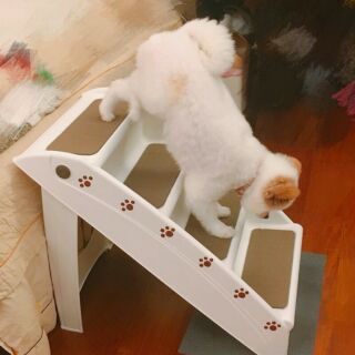 台灣製造 * 狗跳台 寵物階梯 狗樓梯 可折疊 可攜帶式