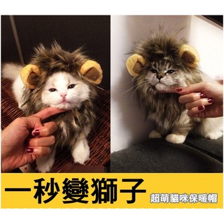 獅子頭套 貓咪變獅子 獅子帽 貓咪帽【HP02】 (1)