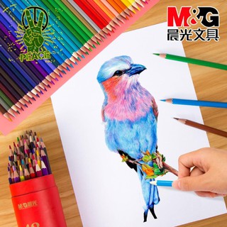 晨光文具水溶性彩鉛24色油性彩色鉛筆專業素描工具36色初學者手繪畫筆成人畫畫套裝72色兒童學生用填色筆包郵