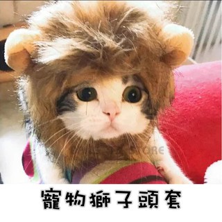 BANG 貓咪變獅子 頭套 寵物頭套 貓咪頭套 貓咪獅子頭套 狗頭套 貓衣服【HP02】