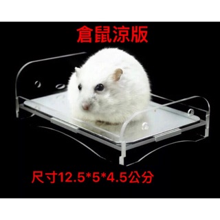特價 出清！寵物降溫床/ 降溫板/涼板 倉鼠降溫用品