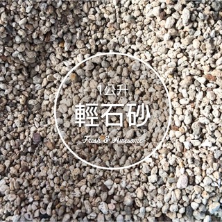 CARMO日本進口輕石砂(1L) 園藝介質 鋪面【C002009】