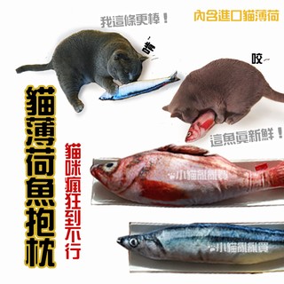 《小貓亂亂買》秋刀魚/紅岩魚 猫薄荷魚抱枕 (附拉鍊)