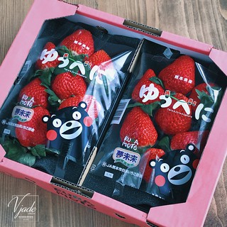 日本熊本草莓🍓空運來台✈️甜蜜新上市❤️